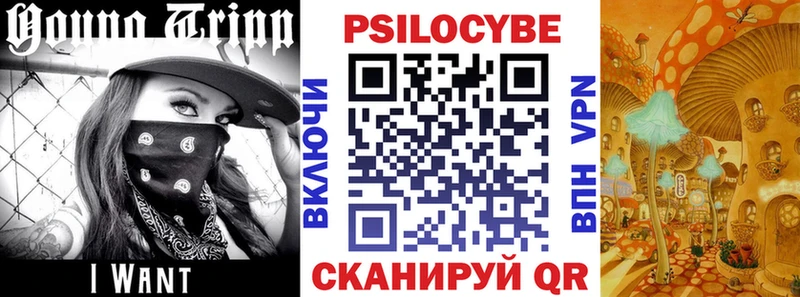 дарнет шоп  Сураж  Галлюциногенные грибы прущие грибы 